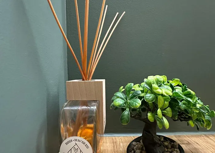 Apartament Cit,ma C'e Tut!tiny,but Need Is In!